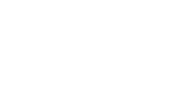 DD Logo